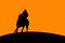 Horse and Rider Silhouette