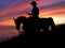 Horse and Rider Silhouette Sunset