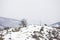 Horse with a rider standing on the snowy hilltop. Bulgaria.