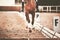 The horse and rider training to complete the dressage. Equestrian sports. Horse riding. The horse`s hooves tread on the sand