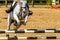 Horse Rider Unidentified Jumping Closeup Abstract Poles