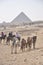 Horse Riders Around the Pyramids