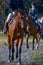 Horse riders in countryside