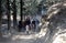 Horse riders at Kufri near Shimla, India