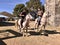 Horse riders near the chappel of Barro during the festivity of San Breixo