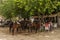 Horse riders on the sandy streets of El RociÌo, Andalucia, Spain