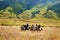 Horse Riders in Savana