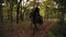 Horse riding in the autumn forest. Professional female rider gallop in park: young female rider on the horse on a shady