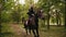 Horse riding in the autumn forest. Professional female rider gallop in park: young female rider on the horse on a shady