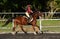 Horse riding girl child