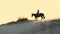 Horse riding. Horse love. Silhouette of horsewoman, riding a horse on towering sandy hill at sunset, in warm summer sun