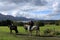 Horse Riding In Killarney National Park, County Kerry, Ireland