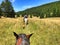 Horse riding in nature