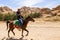 Horse riding in Petra Jordan