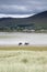 Horse Riding on Rossbeigh Beach