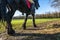 Horse riding scene in a natural parkland