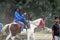 Horse riding and training of a child how to ride on a white brown color horse