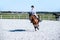 Horse riding . Young girl riding a horse