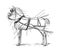 Horse rigging example where to place Horse equipment / Vintage and Antique illustration from Petit Larousse 1914