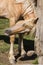 A horse rubs its head against a tree in the Pyrenees of Andorra