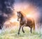 Horse running green field over dramatic sky