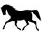 Horse running isolated silhouette vector