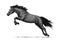 Horse running and jumping vector sketch symbol