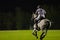 Horse running in a night polo match.