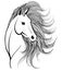 Horse`s head with mane