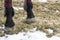 The horse\'s legs. Hooves of a horse in the sand.