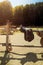 Horse saddle riding equipment on fence