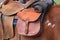 Horse saddled up with oiled rain slicker behind saddle