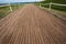 Horse Sand Training Track