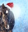 Horse with Santa hat in showfall, Christmas background