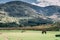 Horse on the scenic fields of Black Valley in county Kerry, Ireland