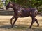 Horse Sculpture at Gateway Canyons Resort