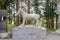 Horse sculpture in Japanese shrine