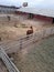 Horse seen from catwalk at Terry Bison Ranch Cheyenne Wyoming