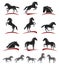 Horse set. Vector