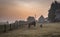 A horse and a sheep grazing peacefully together, early in the morning in the Normandy countryside