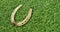 horse shoe on grass for st patricks day