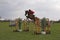 Horse show jumping