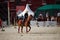 Horse show of the Spasskaya Tower festival at Red Square. Moscow