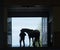 Horse Silhouette