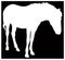 Horse silhouette - domestic or wildlife animal