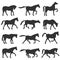 Horse silhouette set.