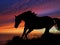 Horse Silhouette Sunset