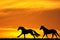Horse silhouettes illustration with sunset 4