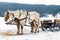 Horse sledge, alternative winter transport