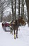 Horse Sleigh in Winter Park